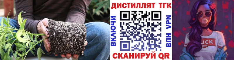 кракен онион  Лабинск  Дистиллят ТГК Wax 