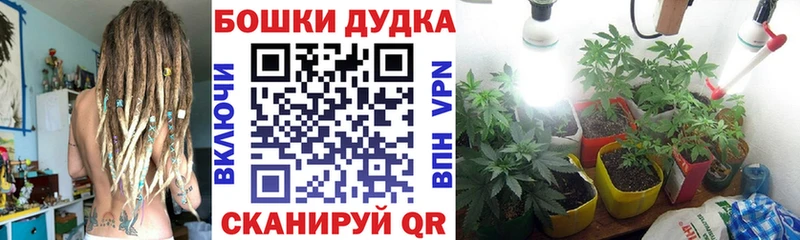 Бошки марихуана индика  Лабинск 